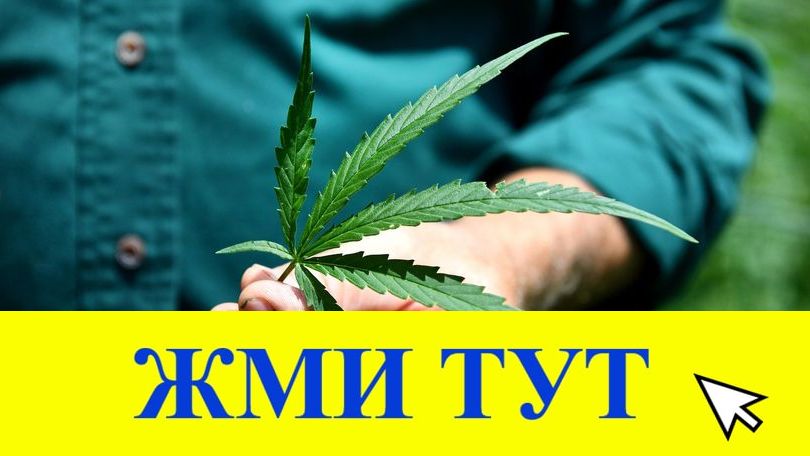 Купить наркотики в Тамбове